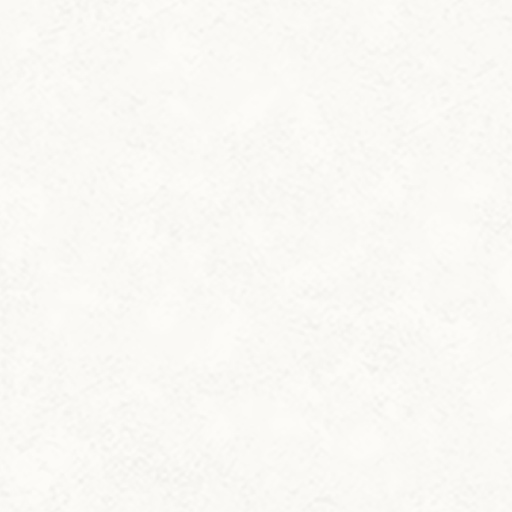S008 N White